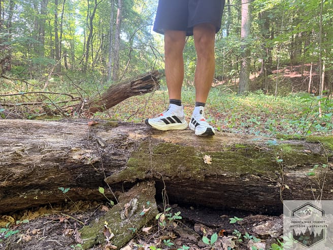 Standing on log with Terrex Free Hiker 3 Ultra