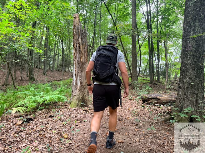 Walking in wet-covered forest during testing of timberland boots