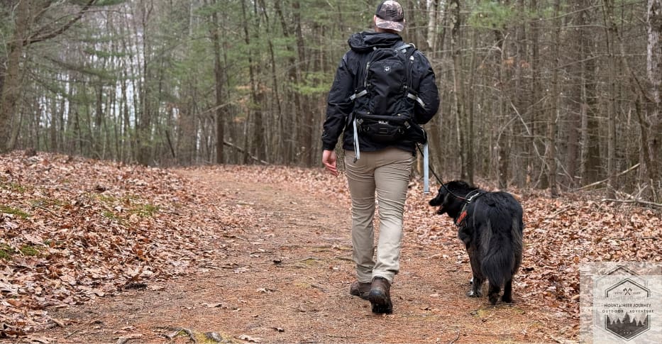 walking dog on hike in woods while wearing lowa renegade's