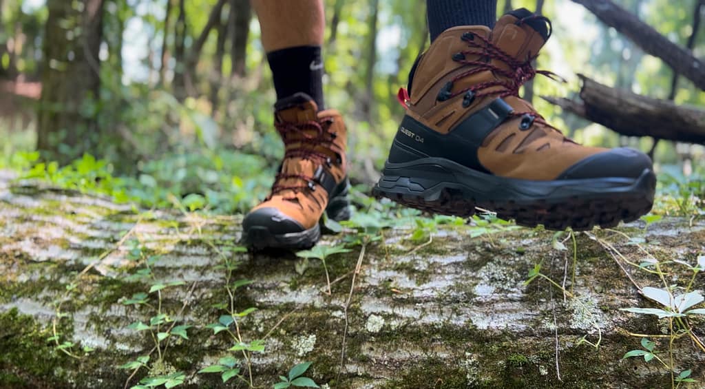 Hiking Boots on a Branch