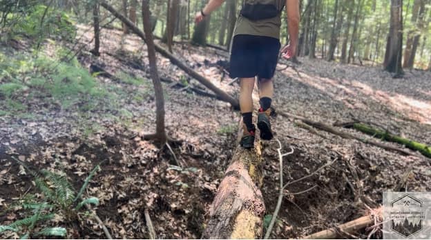 blog-img-1722802769850 navigating over a slippery branch while hiking