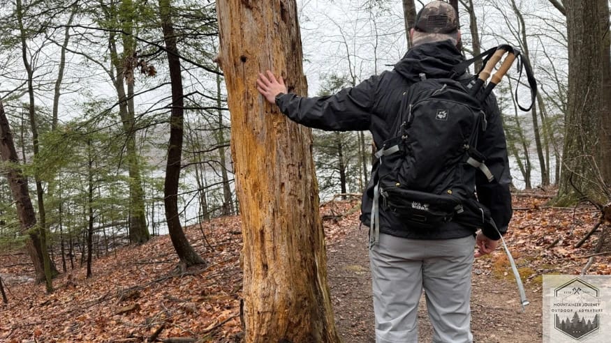 Hiking in the rain next to a tree taking a break