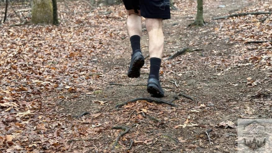 Testing the Salomon Speedcross 6 protection while running over large tree roots, highlighting the impact-absorbing EnergyCell+ midsole and reinforced toe cap.