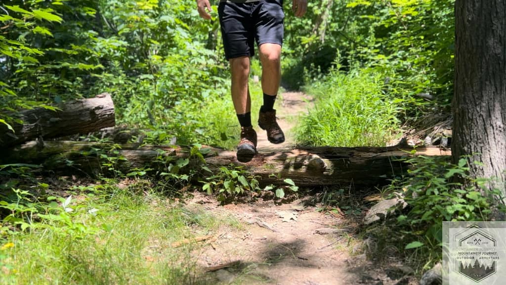 The Merrell Moab 3 (shown above) is easily one the best values you can get on the hiking boot market