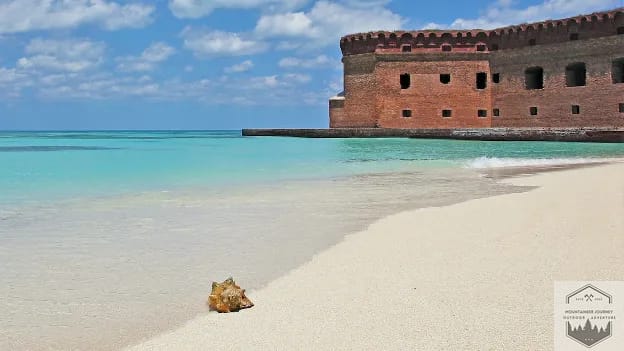 blog-img-1697987983477 Dry Tortugas National Park