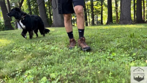 blog-img-1725224746455 On trail with the dog leashed