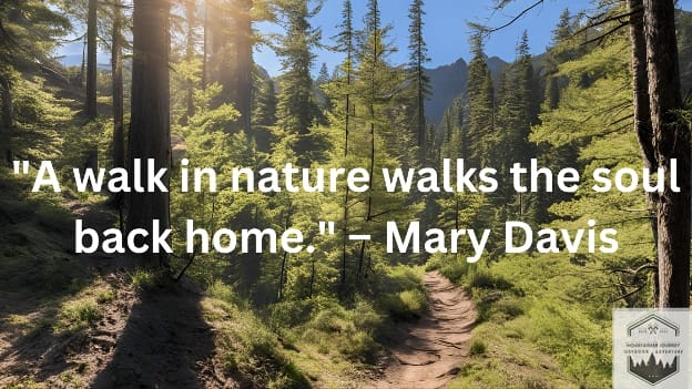 blog-img-1725121388907 "A walk in nature walks the soul back home." – Mary Davis quote in woods