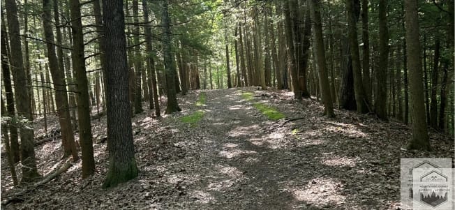 Hiking trail