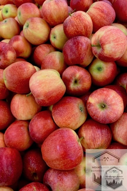 blog-img-1715010483507 Honeycrisp apples