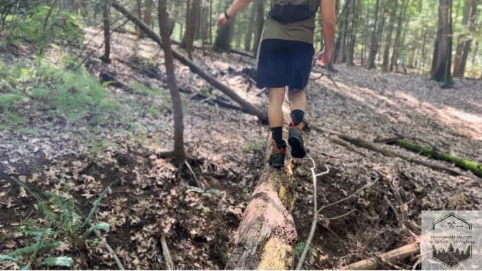 Top 5 Benefits of Hiking (Read before heading out)