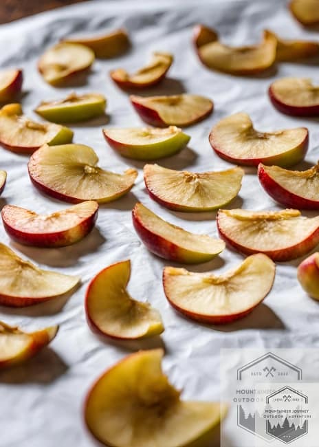 blog-img-1715010517302 Apples on tray ready for dehydrating