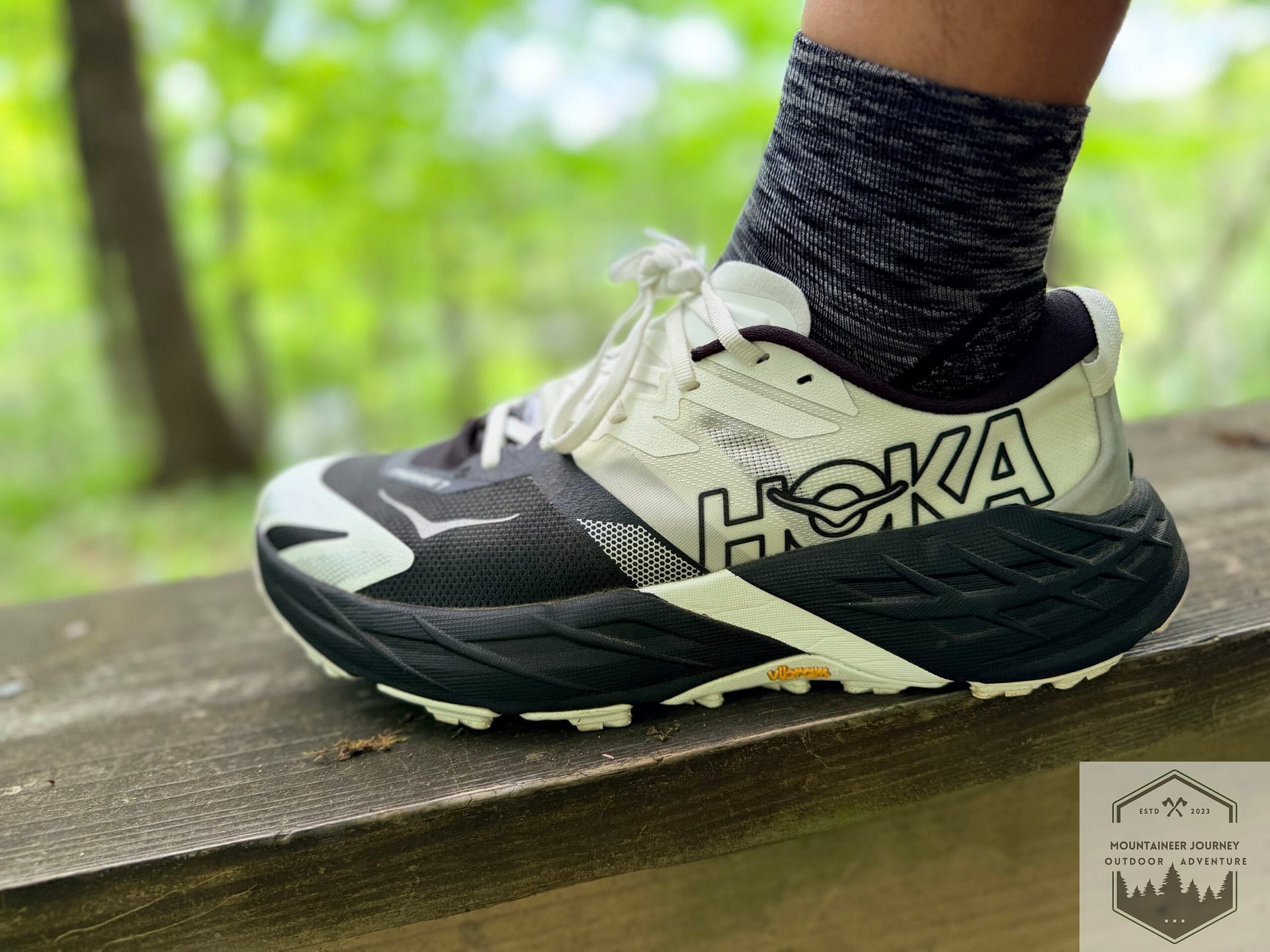Hoka Speedgoat 7
